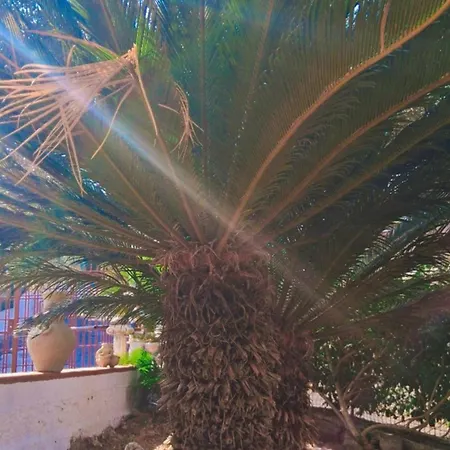 Villa La Casa Di Giove Terracina